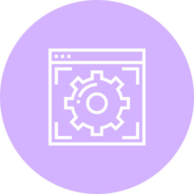 Custom Feature & Functionality Development